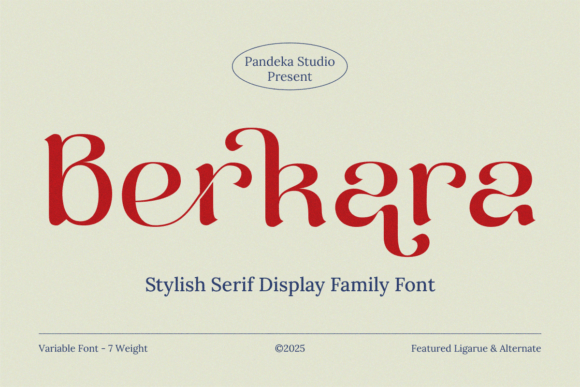 Berkara: A Serif Font That Breathes Quiet Confidence